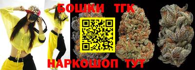 индика Аша