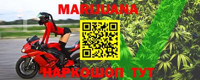 индика Аша