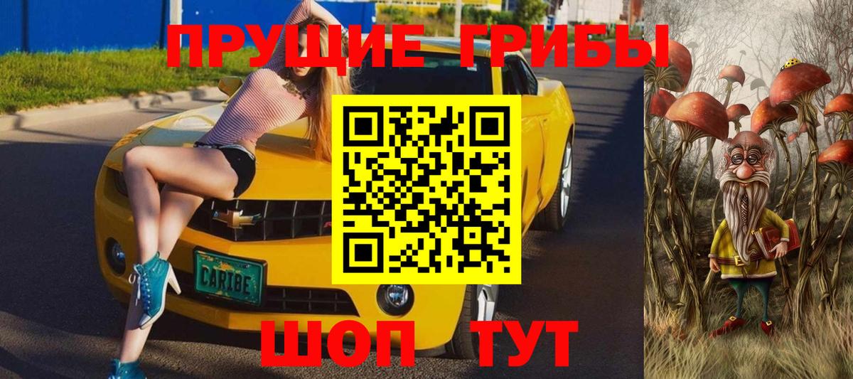 Грязи  Галлюциногенные грибы Psilocybine cubensis  Вход с VPN 