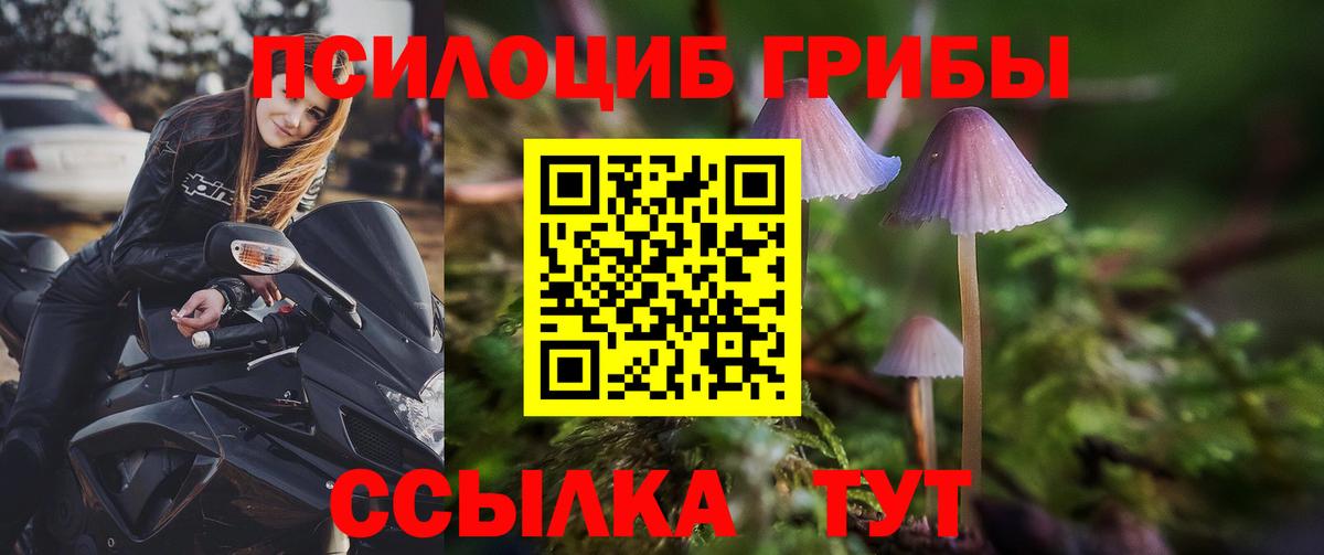 Псилоцибиновые грибы Cubensis Грязи